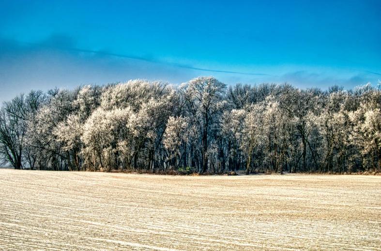 a large field next to trees with snow on the ground