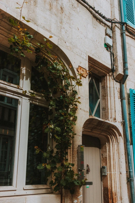 a building with an entrance and window with vines growing on the side