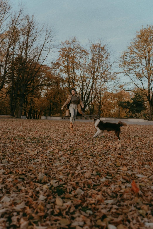 a dog runs past a person who is walking in a park with their dog