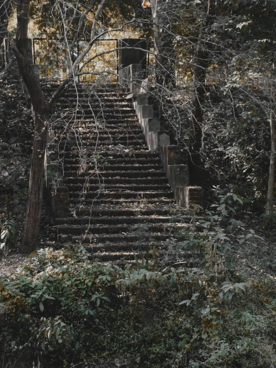 many steps on a grassy hill surrounded by trees