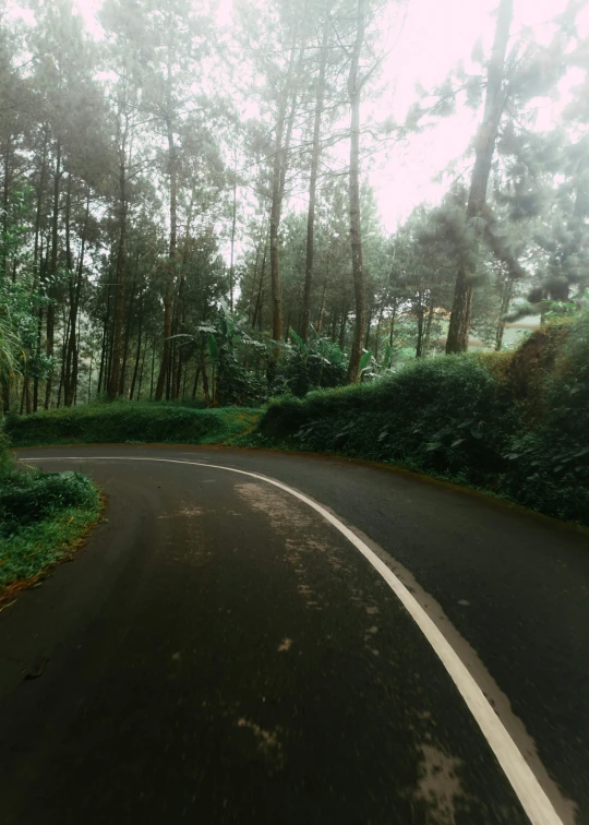 a curved road with several trees behind it