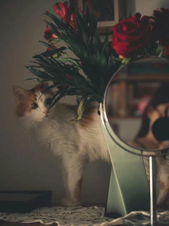 a brown and white cat standing in front of a vase with flowers