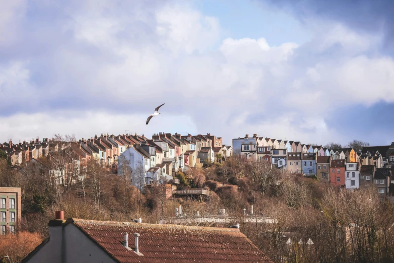 there are many different houses on the hill