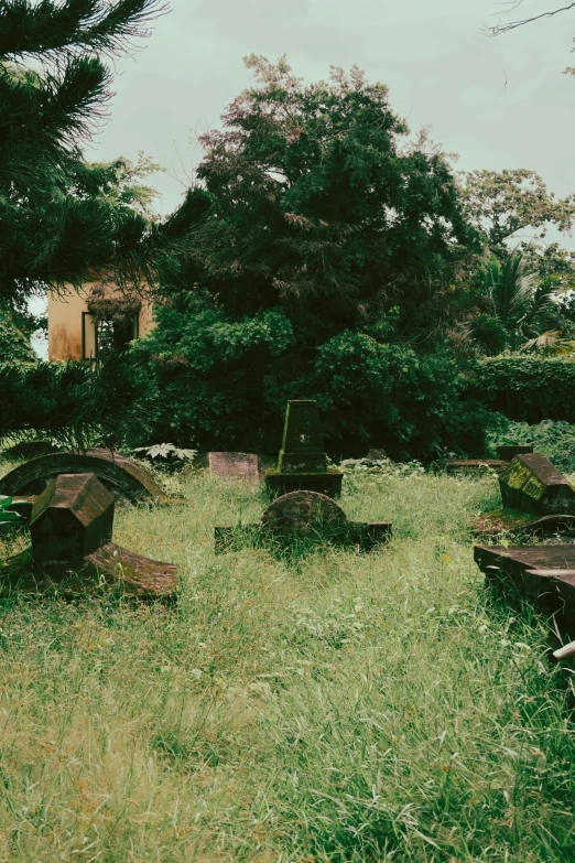 a large grassy area with lots of different wooden items