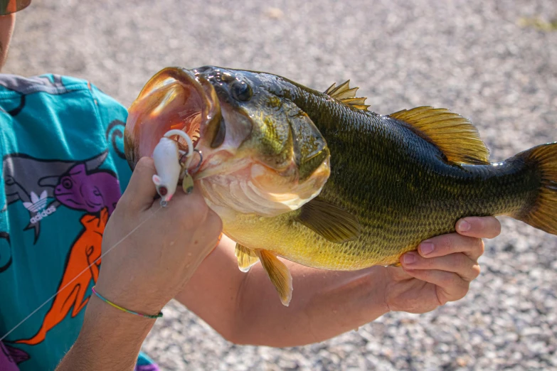 a person holding up a fish that is in the water