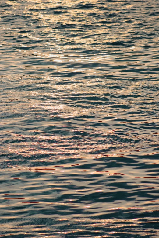 the sun shining on the water from a boat