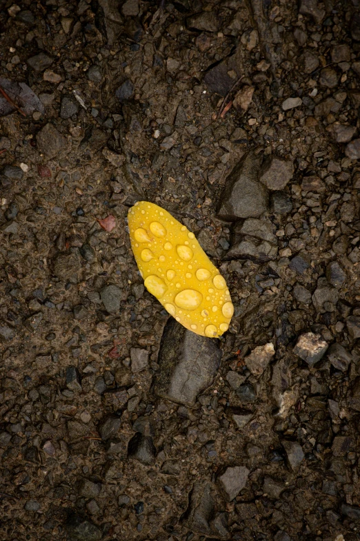 a banana laying on top of the ground next to rocks