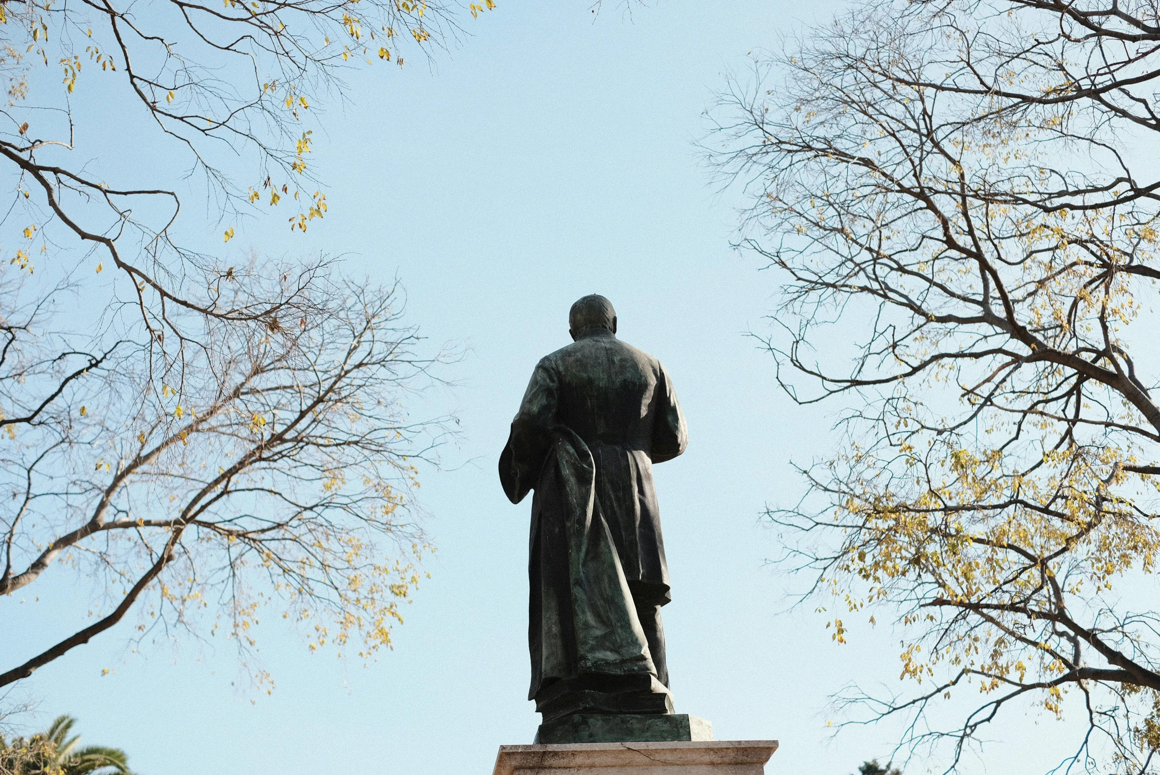 a view of a statue and trees in a park