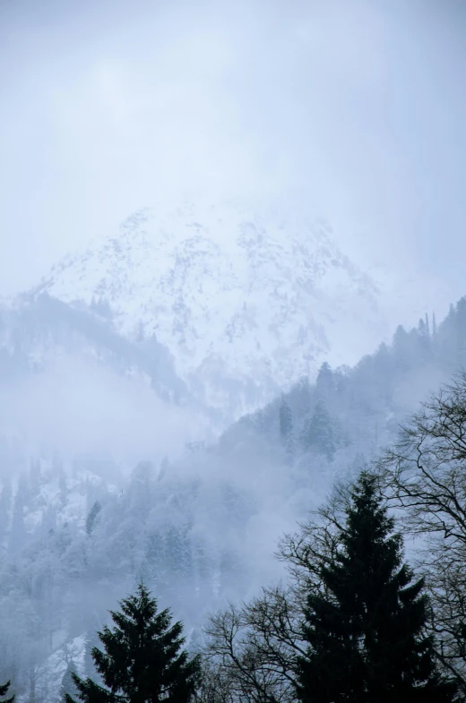 the mountain is covered with fog and mist