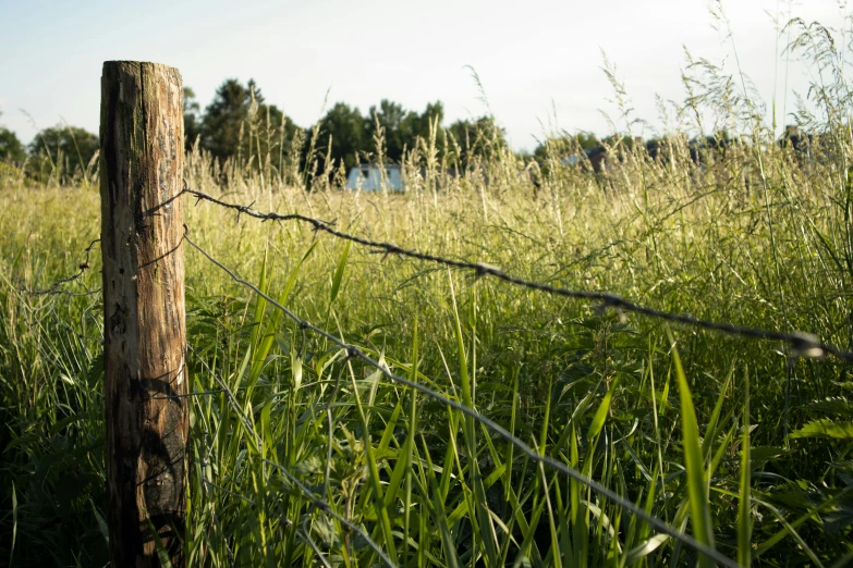 the fence has wooden posts on it near tall grass
