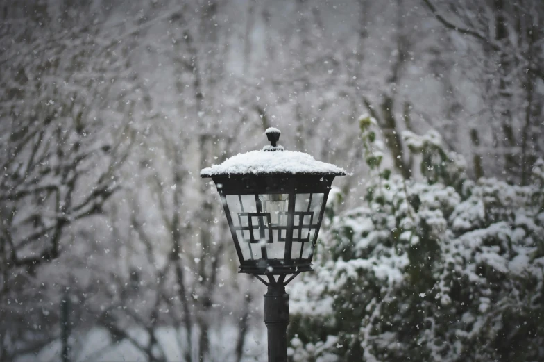 a streetlight covered in snow standing in front of some trees