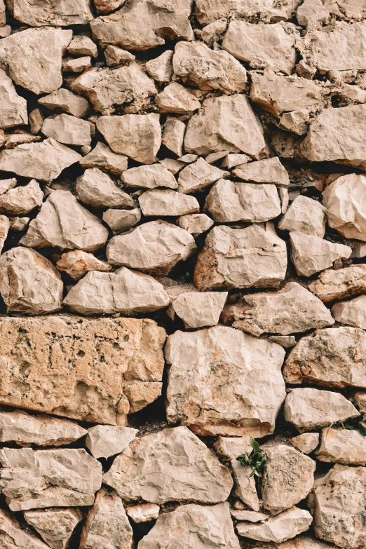 closeup of the rock wall with a patch of grass growing through it