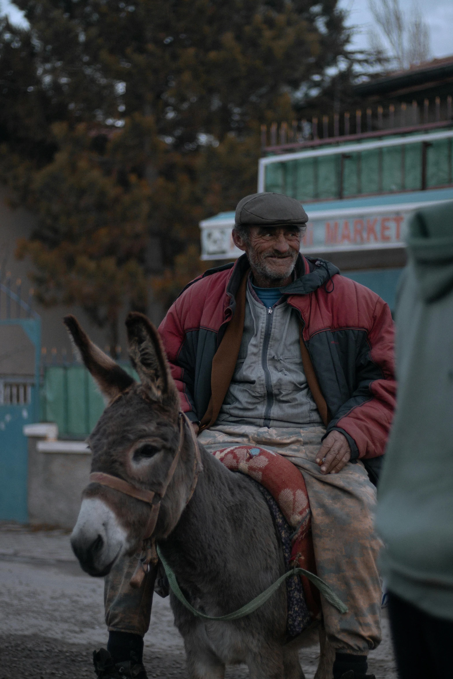 a man with glasses rides a donkey