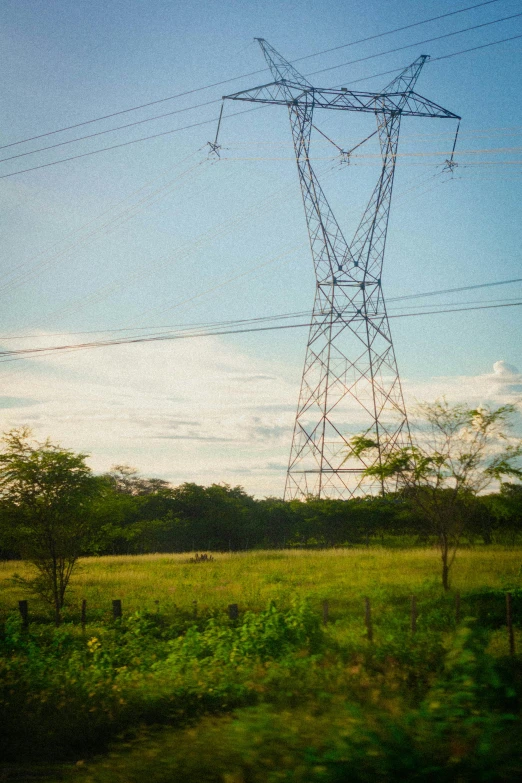 power lines and poles in a field near some trees