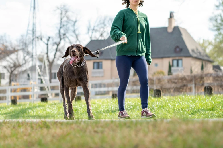 a person walking their dog in a green field