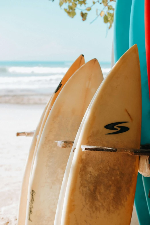 surfboards lined up near a beach with water in the background