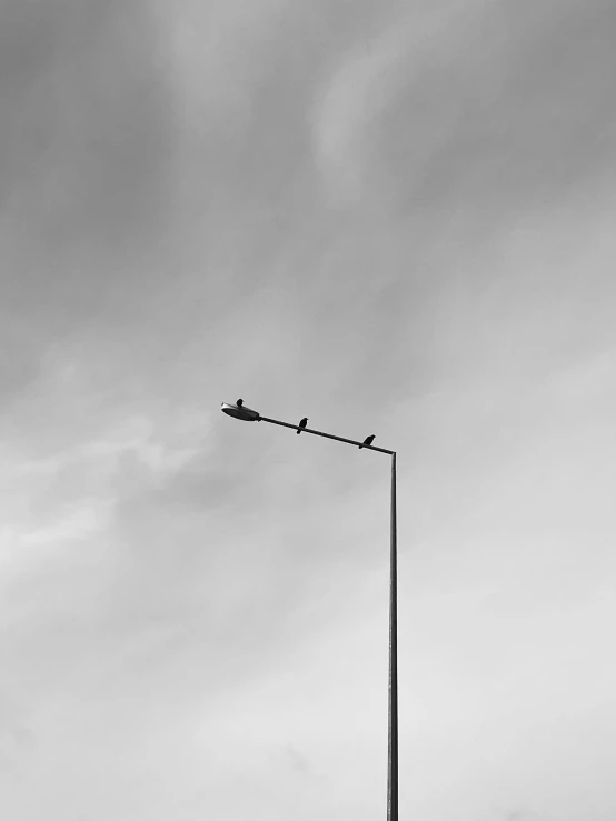 birds sitting on top of an electric pole in the sky