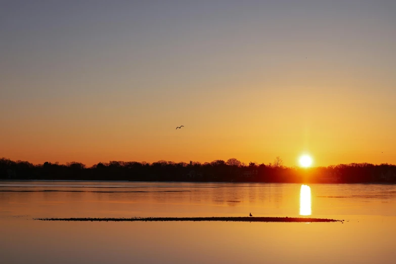 a sunset view of the lake and trees