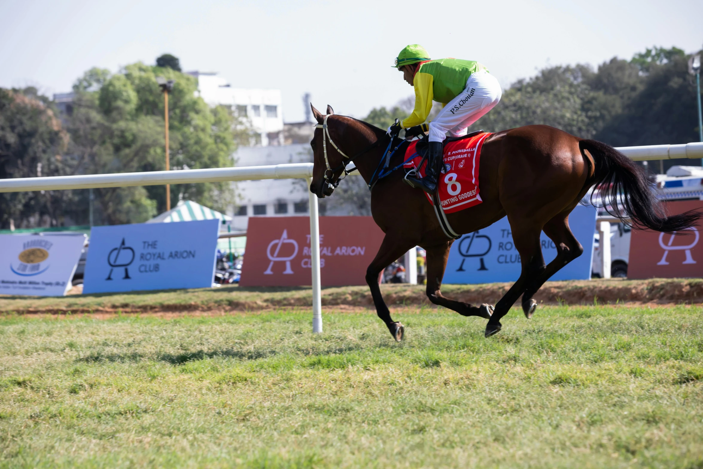 jockey on horseback during a race with other horses