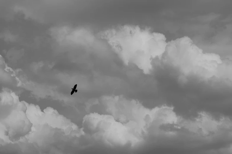 a bird flying in the sky under cloudy skies