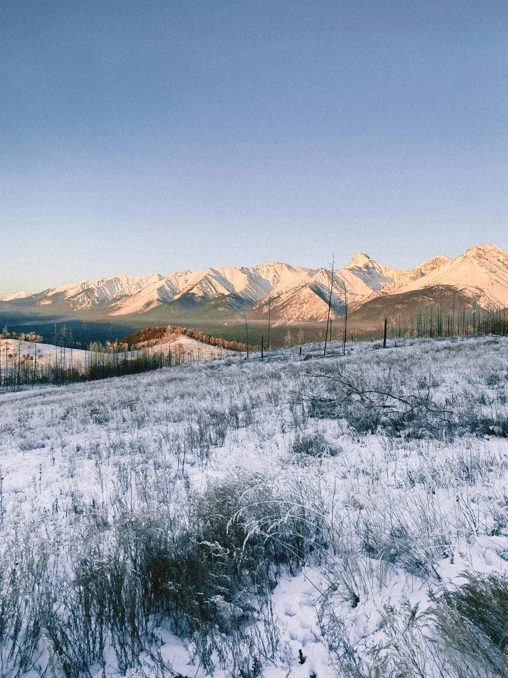 a snow covered field that has mountains and trees