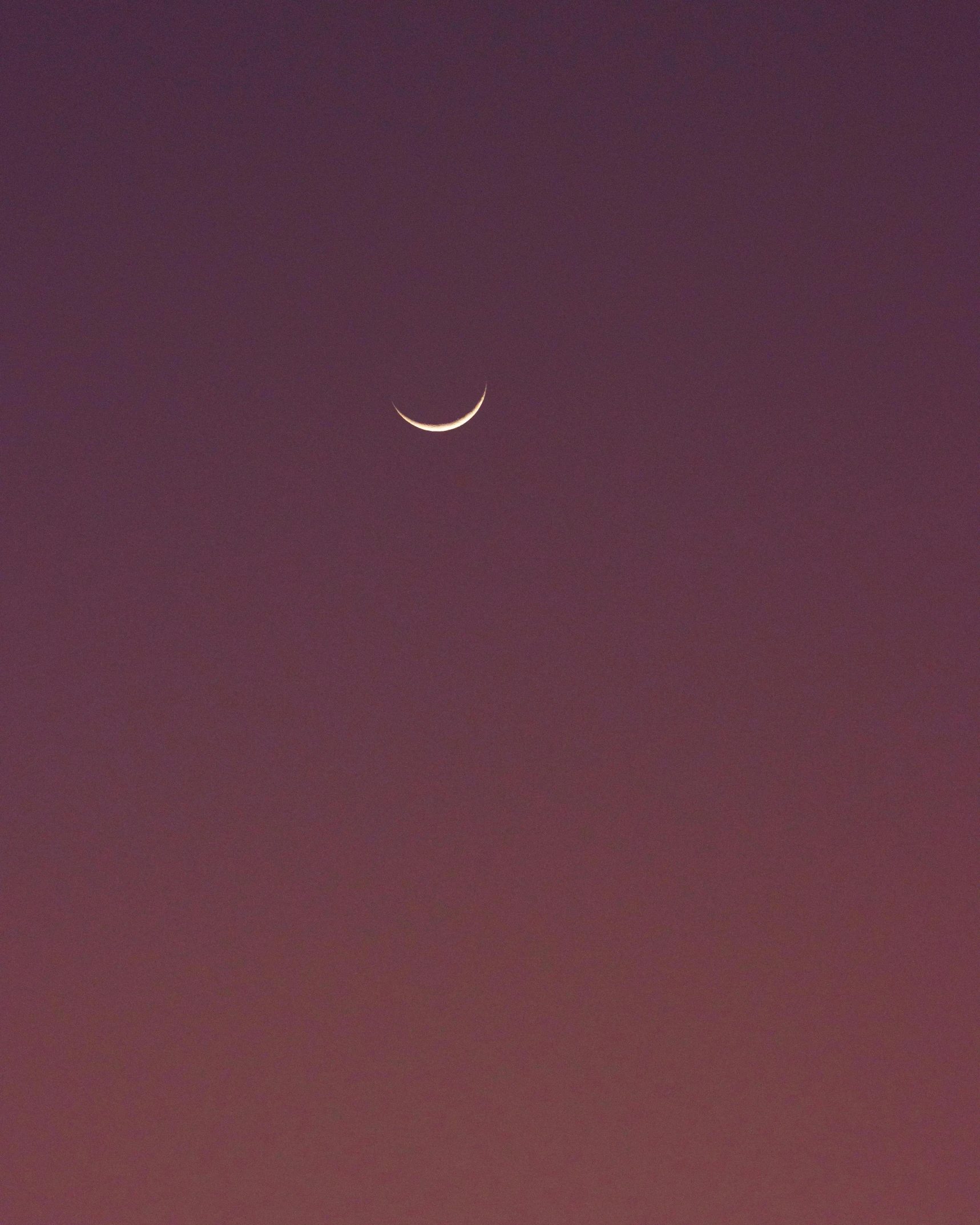 a full moon is visible in the dark sky