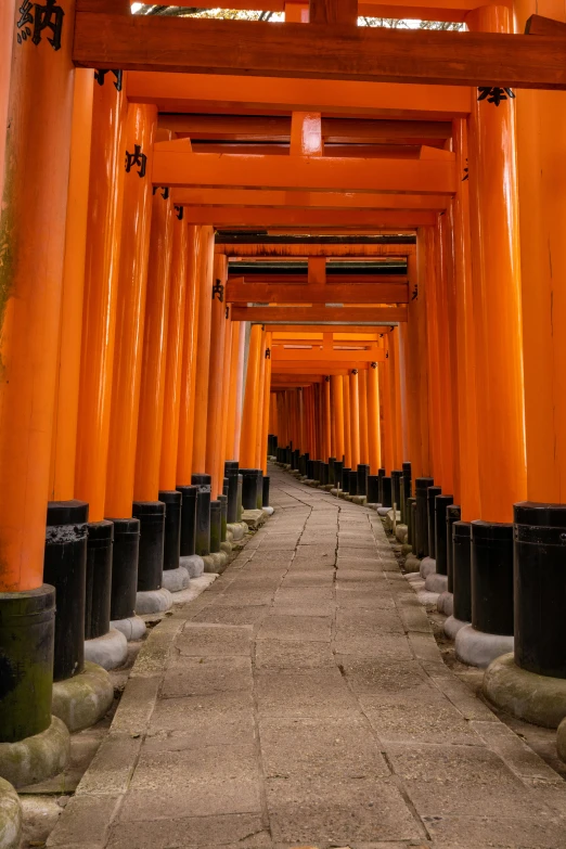 the walkway between the two rows of orange archways