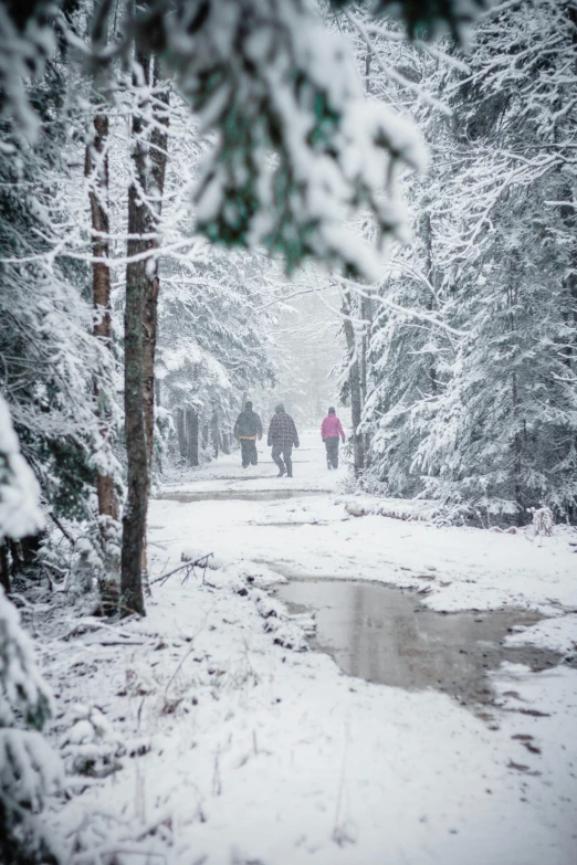 two people walking in the snow along side some trees