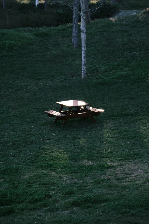 a small bench sitting on top of green grass