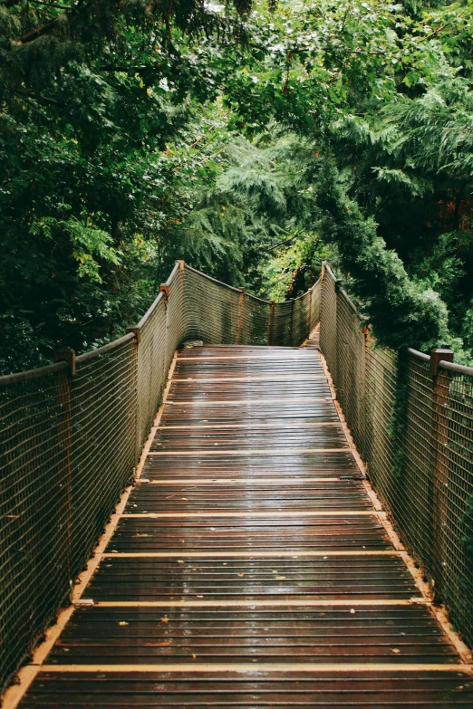 an image of a bridge that is going over the water