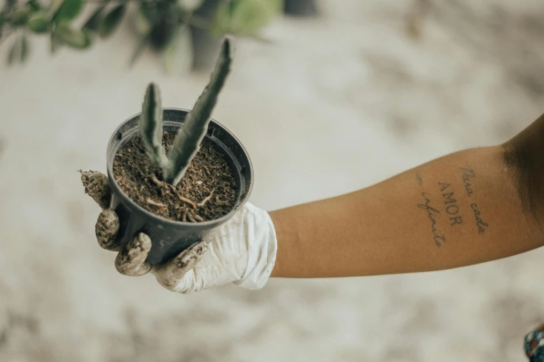 someone holding a plant with their hand with ink on it