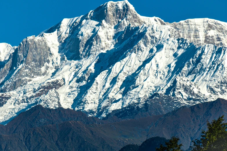 snow - capped mountain top on the outskirts of a forest