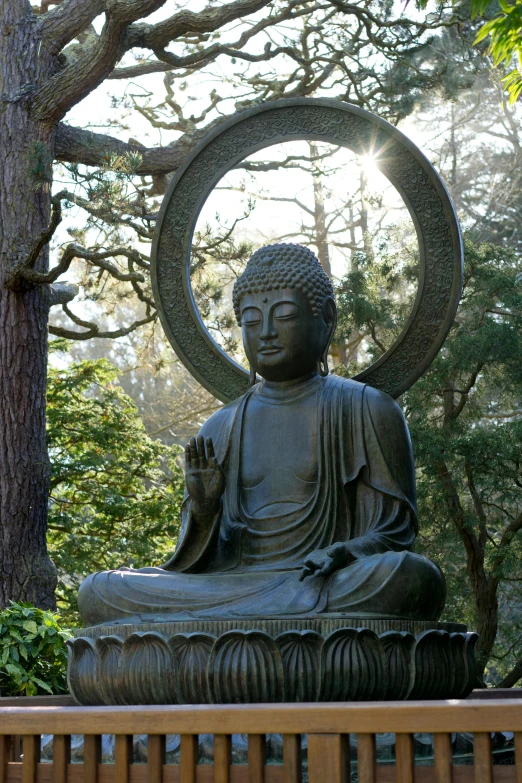 a buddha statue on display near a tree