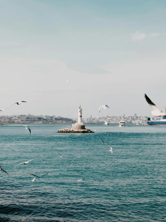 a lighthouse and many birds flying around it