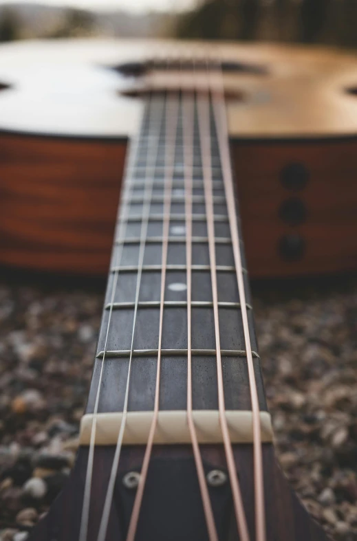 closeup of a guitar frets and bridge and strings