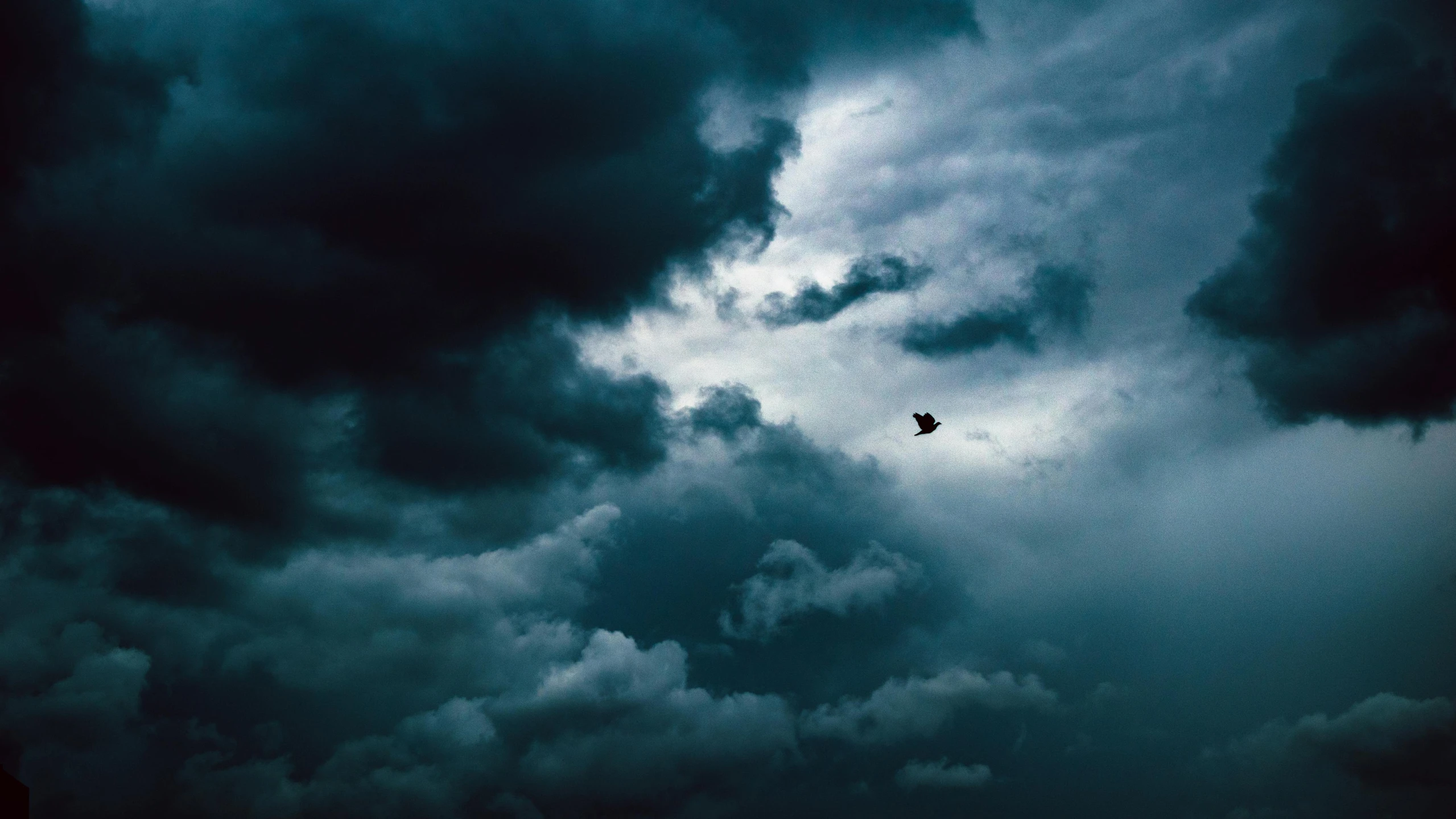 a bird flying through a cloudy sky