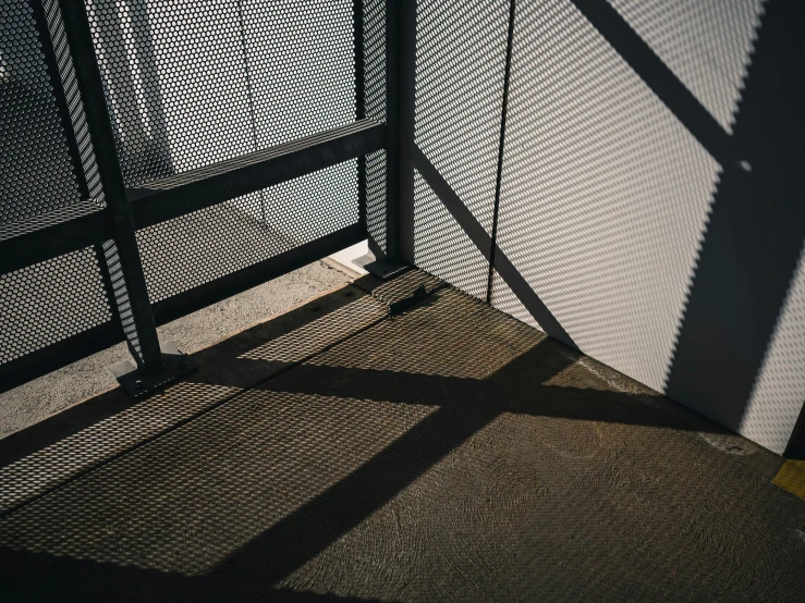 a small animal laying on the ground in front of a screen