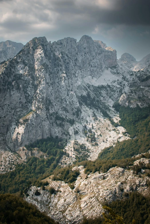 rocky hills with trees growing on top