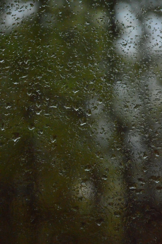 raindrops on a window next to a green grass and trees