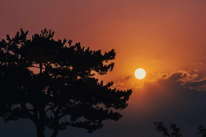 the sun is setting over some trees as it appears to be above the clouds