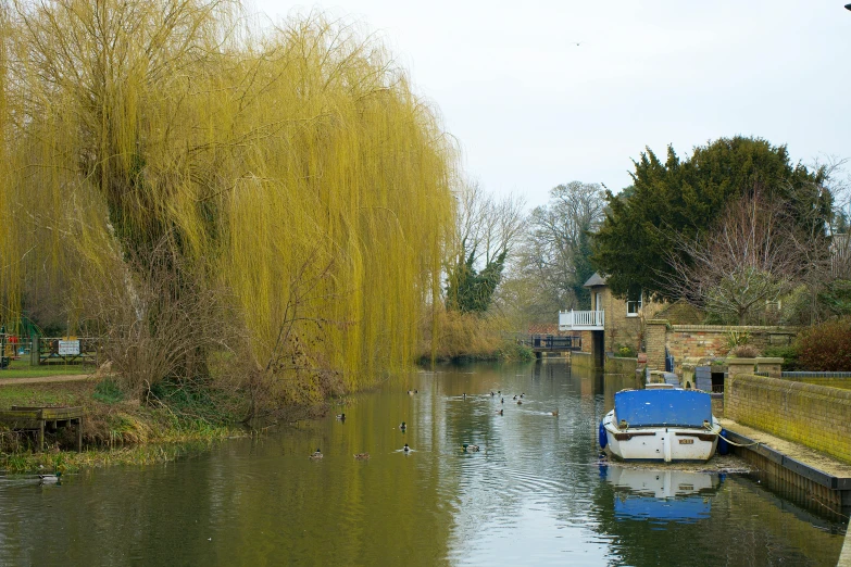 boats and a duck are seen in the water