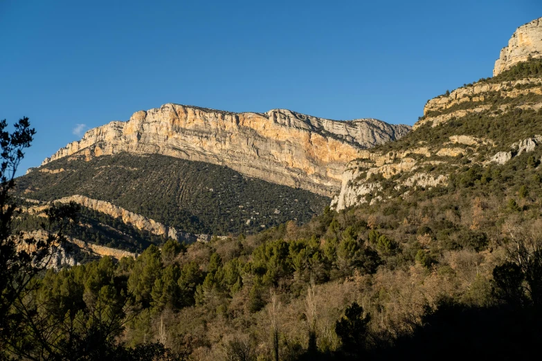 the side of a mountain has green and brown trees