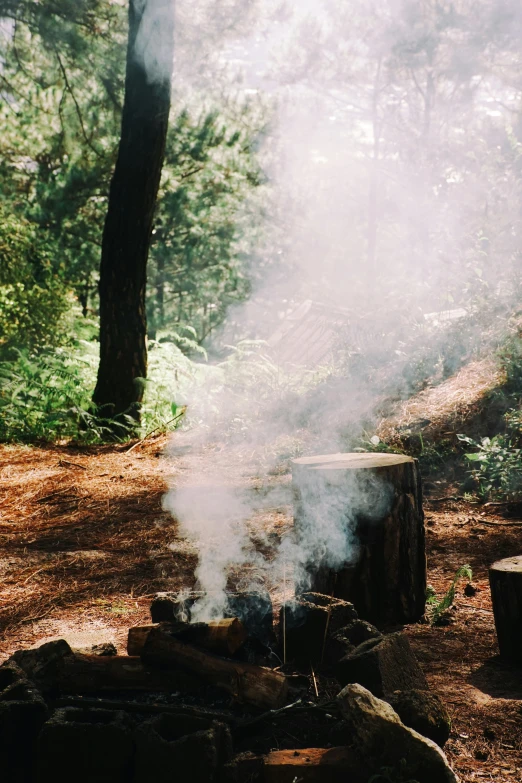 a wood fired fire in the woods with a forest setting