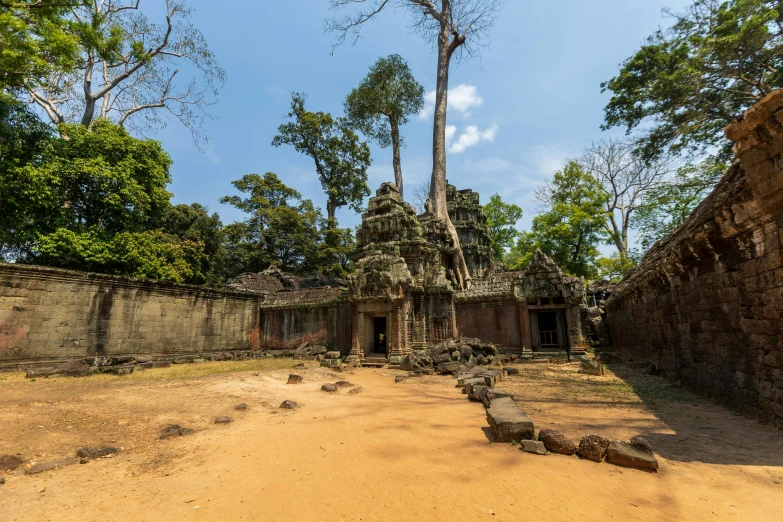 a building surrounded by trees and bricks