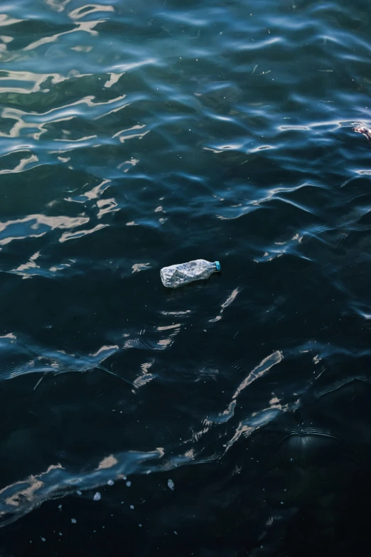 three empty bottles floating in a body of water