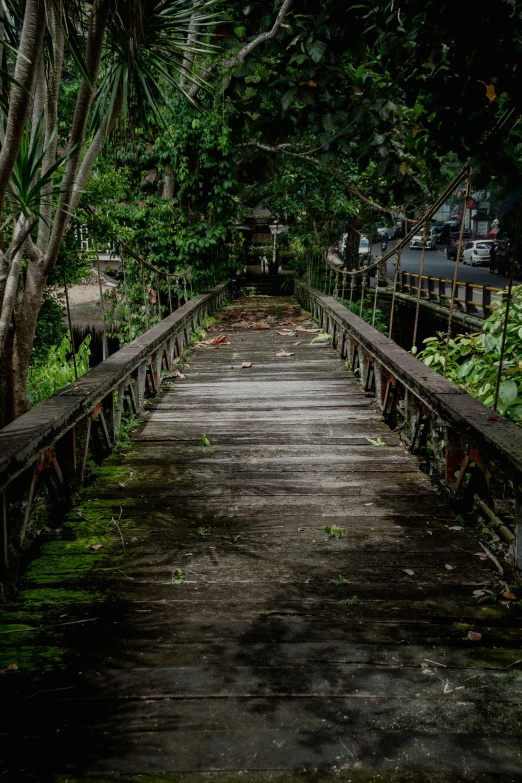 an old wooden bridge surrounded by a lot of trees