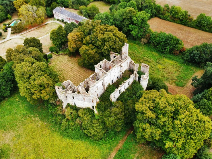 an aerial view of the castle with trees and other land