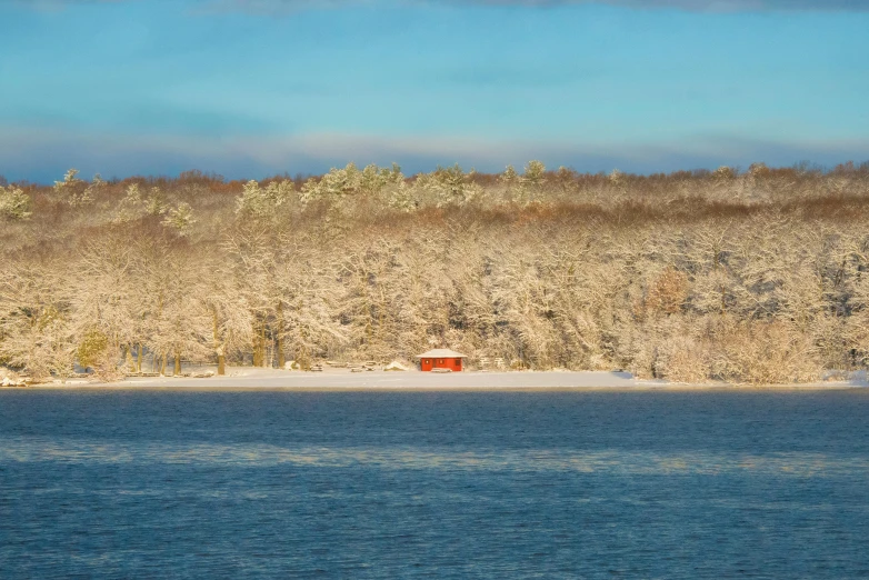 two boats sailing on the water near trees and bushes