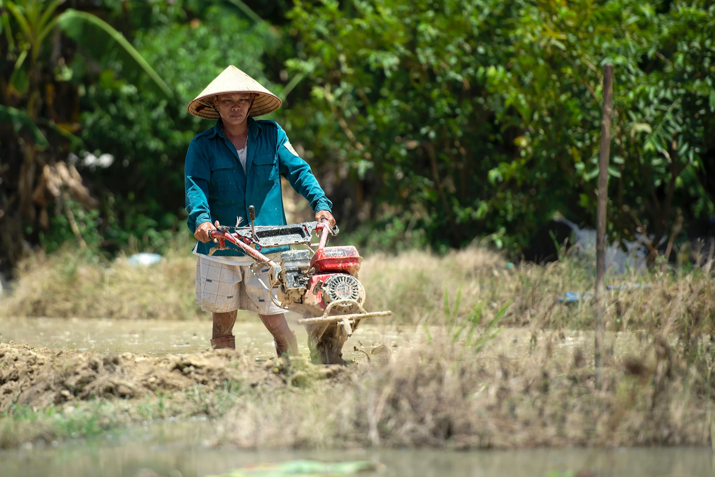 a man with a large straw hat riding a small tractor