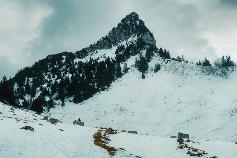 a mountain range covered in snow and trees